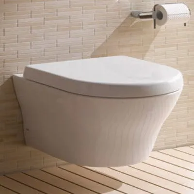 Medici Wall Hung Toilet with Soft Close Seat