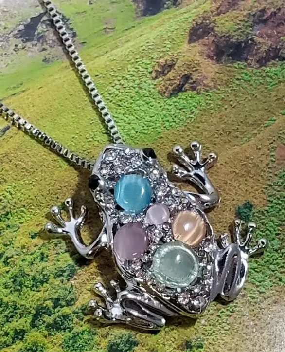 N267 Silver Frog Multi Color Moonstone Necklace with FREE Earrings